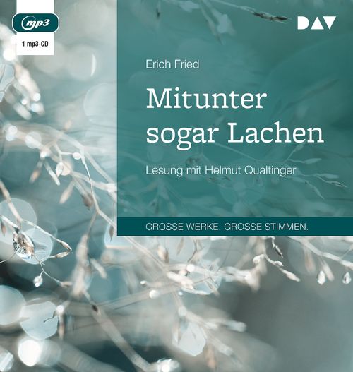 Cover des Buches Mitunter sogar Lachen von 