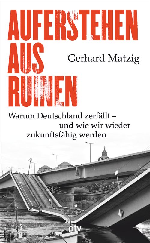 Cover des Buches Auferstehen aus Ruinen von 
