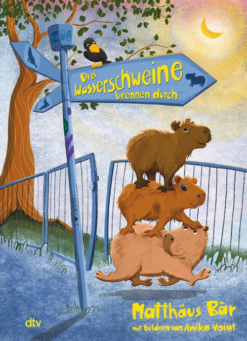 Cover des Buches Drei Wasserschweine brennen durch von Matthäus Bär