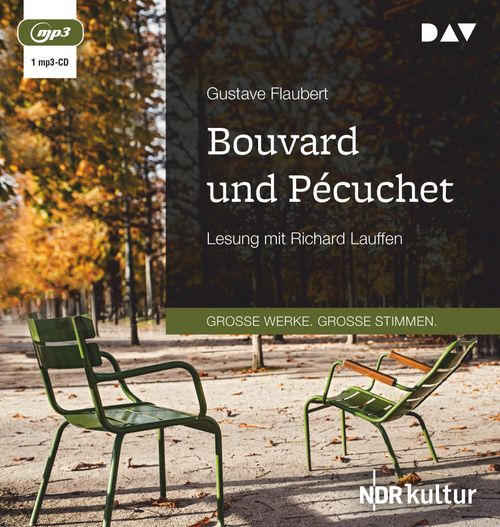 Cover des Buches Bouvard und Pécuchet von 