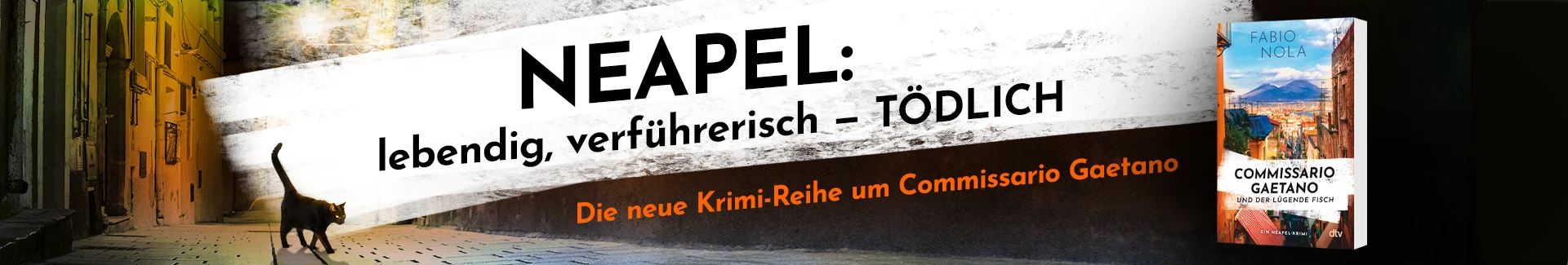Commissario Gaetano und der lügende Fisch von Fabio Nola Buch Commissario Gaetano und der lügende Fisch von Fabio Nola und Text: Neapel : lebendig, verführerisch, tödlich