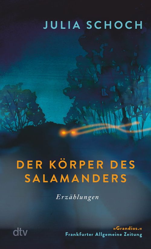 Cover des Buches Der Körper des Salamanders von 