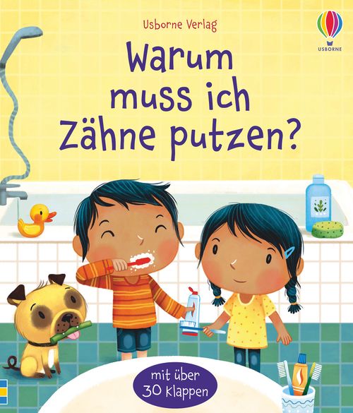 Cover des Buches Warum muss ich Zähne putzen? von Katie Daynes