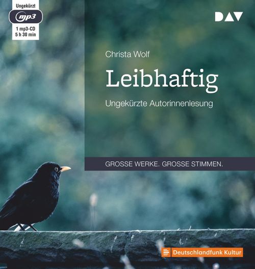 Cover des Buches Leibhaftig von 