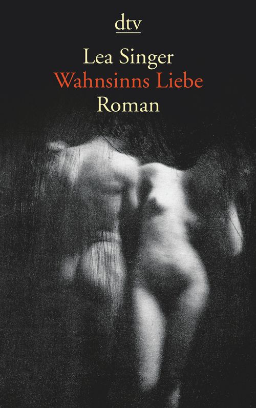 Cover des Buches Wahnsinns Liebe von Lea Singer