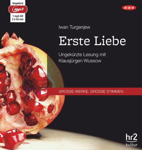 Cover des Buches Erste Liebe von 