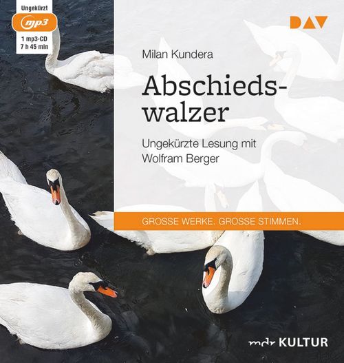 Cover des Buches Abschiedswalzer von 
