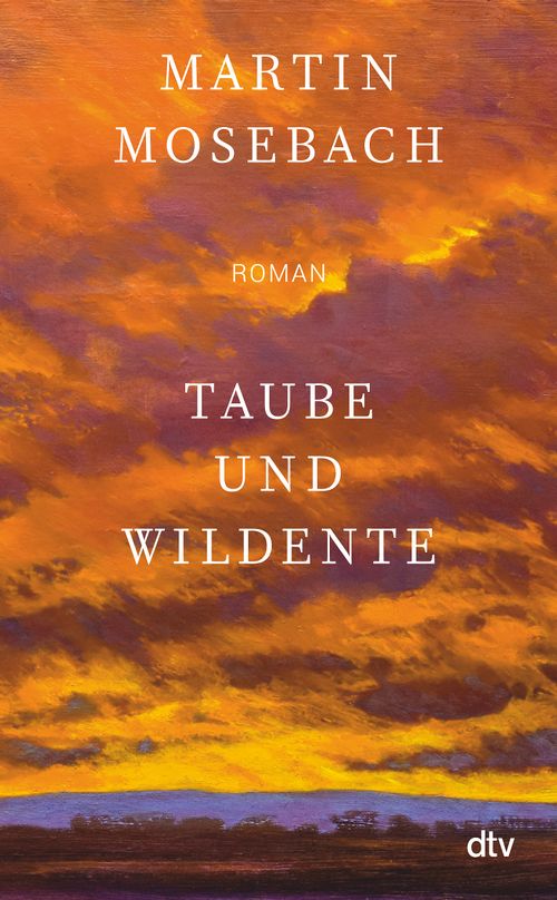 Cover des Buches Taube und Wildente von Martin Mosebach