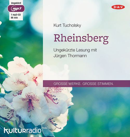Cover des Buches Rheinsberg von 