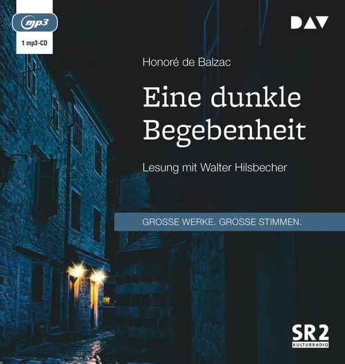 Cover des Buches Eine dunkle Begebenheit von 