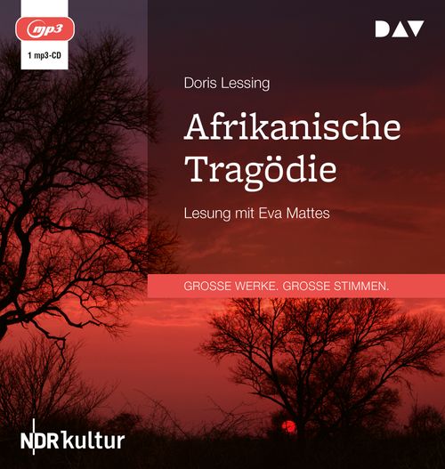 Cover des Buches Afrikanische Tragödie von 