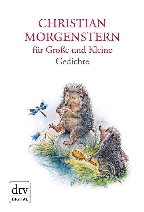 Cover des Buches Christian Morgenstern für Große und Kleine von 