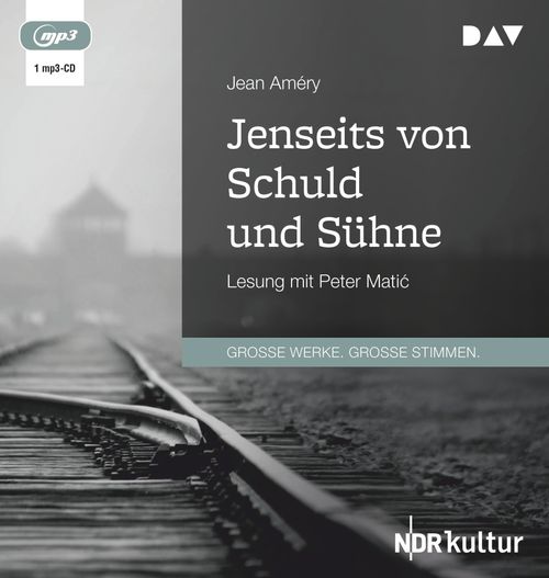 Cover des Buches Jenseits von Schuld und Sühne von 