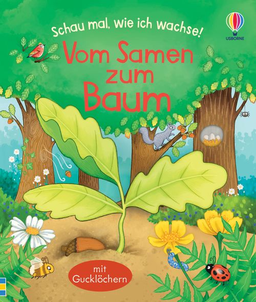 Cover des Buches Schau mal, wie ich wachse! Vom Samen zum Baum von Lesley Sims