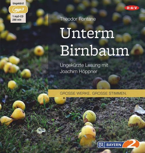 Cover des Buches Unterm Birnbaum von 