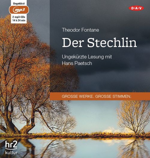 Cover des Buches Der Stechlin von 