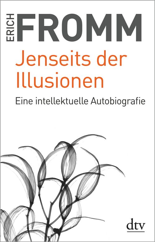 Cover des Buches Jenseits der Illusionen von 