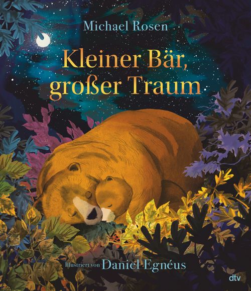 Cover des Buches Kleiner Bär, großer Traum von Michael Rosen