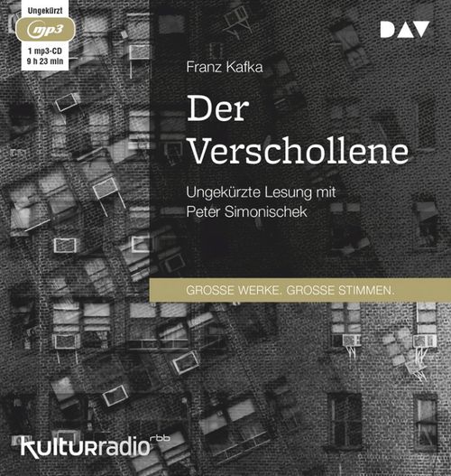 Cover des Buches Der Verschollene von 