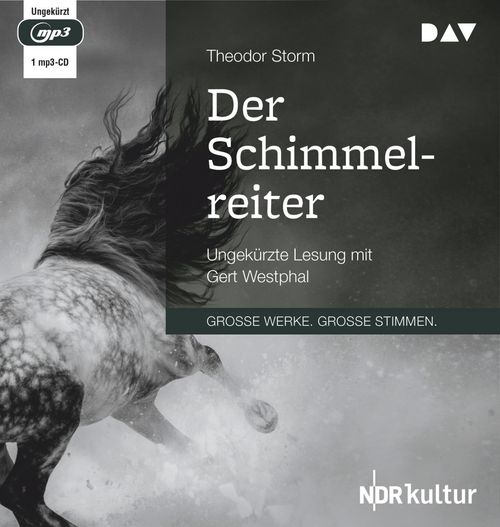 Cover des Buches Der Schimmelreiter von 