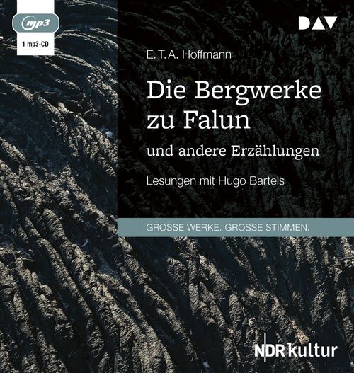 Cover des Buches Die Bergwerke zu Falun und andere Erzählungen von 