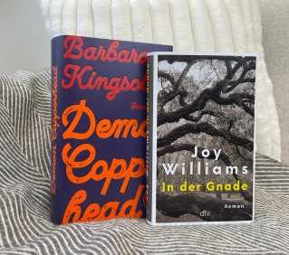 Bücher Barbara Kingsolver, Demon Copperhead und Joy Williams, In der Gnade ""