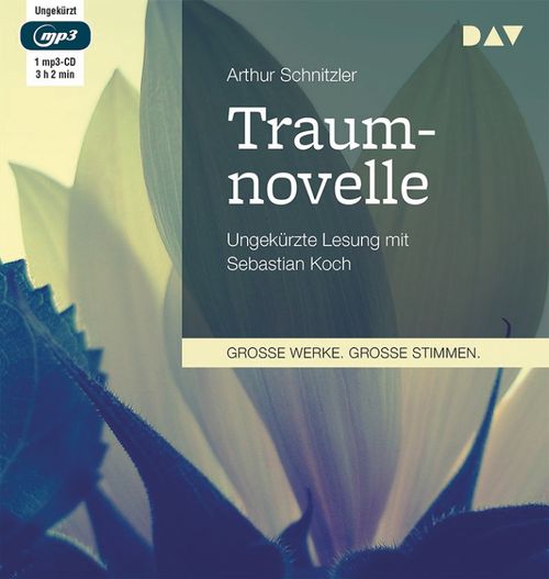 Cover des Buches Traumnovelle von 