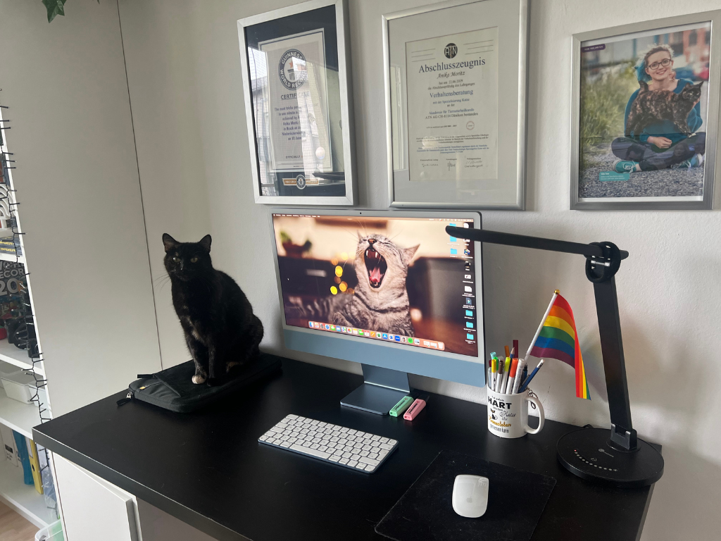 Foto des Arbeitsplatzes von Autorin Anika Moritz.