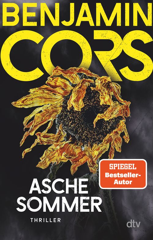 Cover des Buches Aschesommer von 