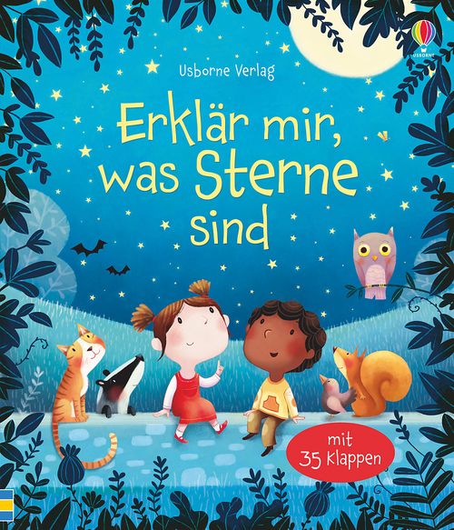 Cover des Buches Erklär mir, was Sterne sind von Katie Daynes